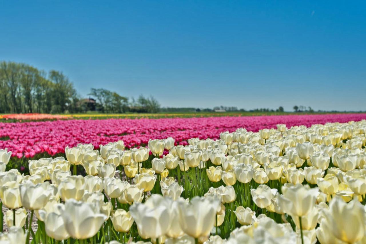 Villa Prinsenhof # Vierentwintig 베르겐 외부 사진